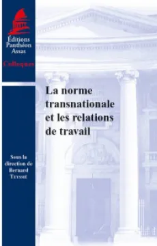 la-norme-transnationale-et-les-relations-de-travail-9791090429505.jpg